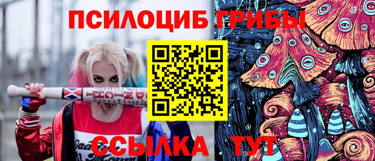 APVP Артёмовский